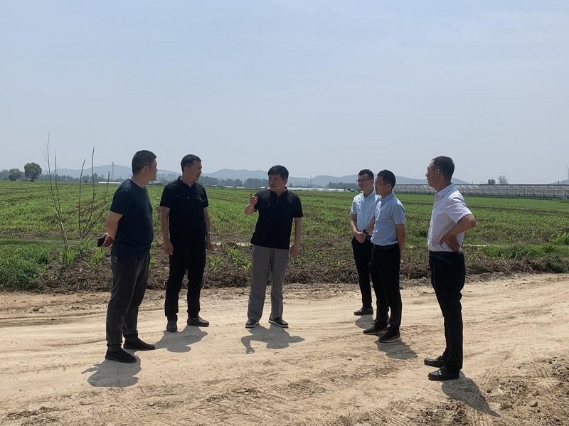 MG电子(中国游)试玩官方网站