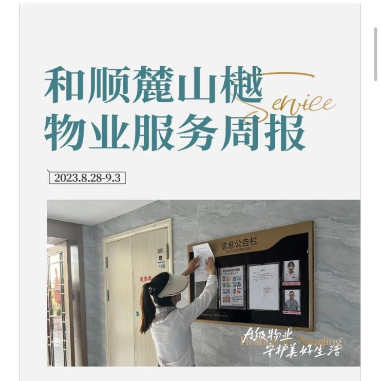 MG电子(中国游)试玩官方网站