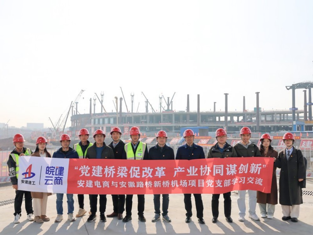 d48486e284eda6af332e0ef1ca859f19 皖建电贸易务互换_副本.jpg