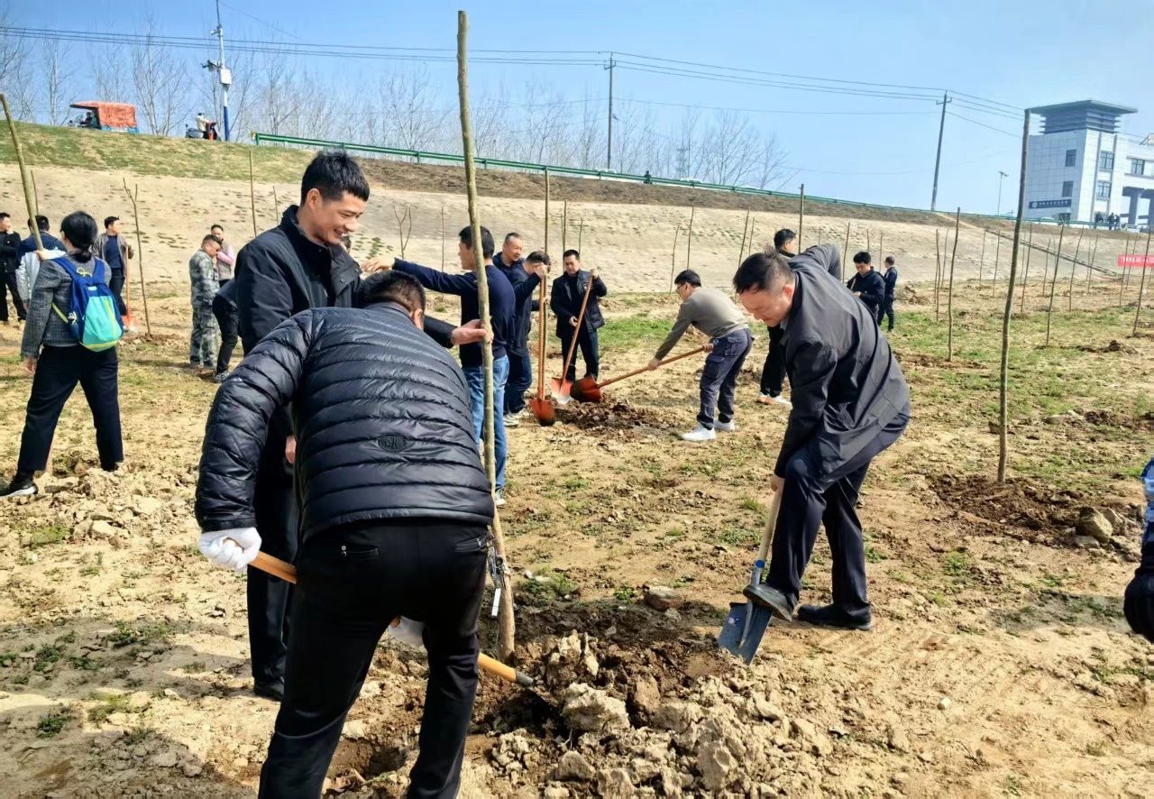 MG����(�й���)����ٷ���վ