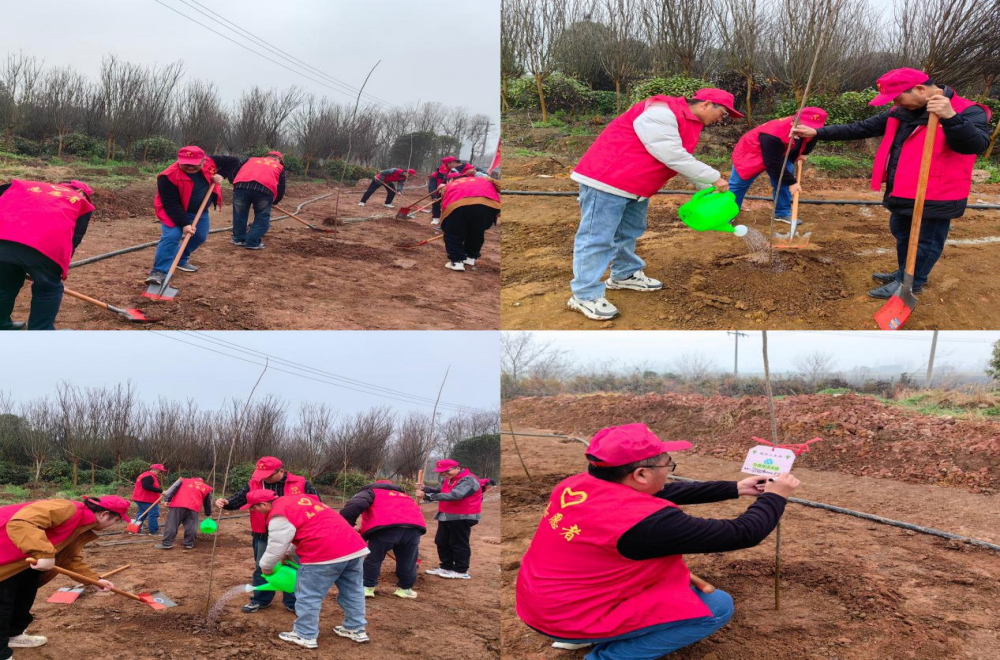 MG����(�й���)����ٷ���վ