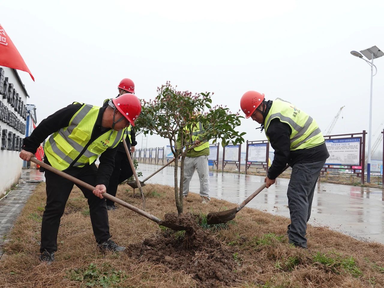 MG����(�й���)����ٷ���վ