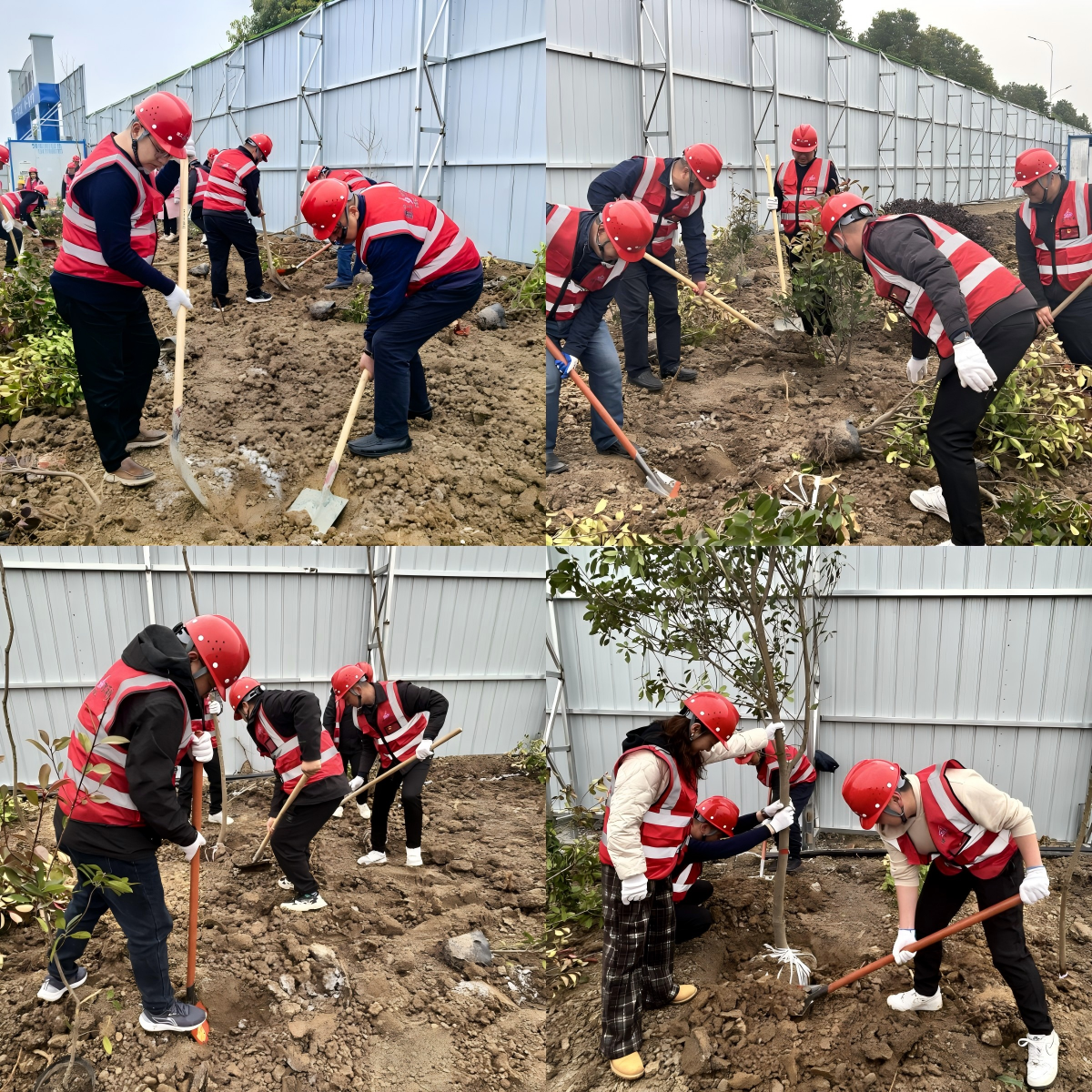 MG����(�й���)����ٷ���վ