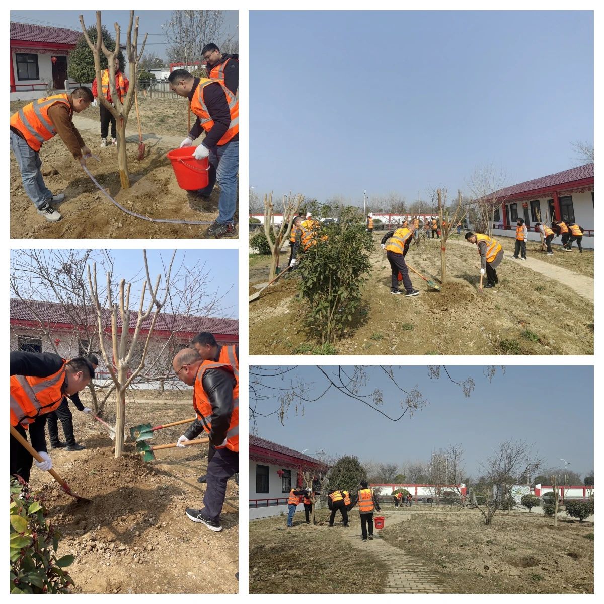 MG����(�й���)����ٷ���վ