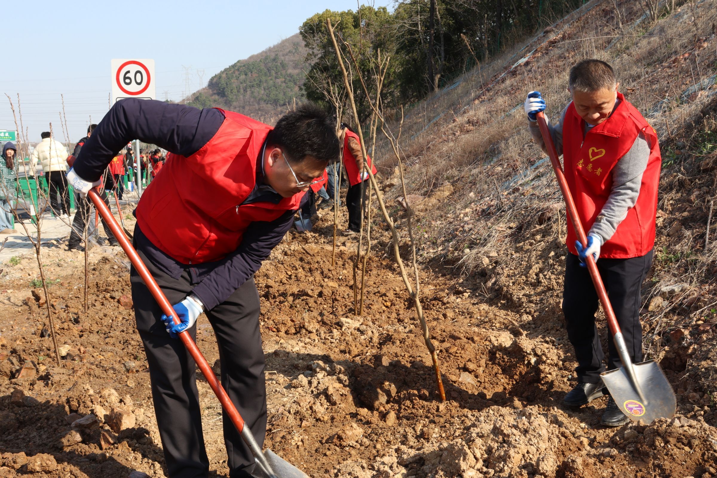 MG����(�й���)����ٷ���վ