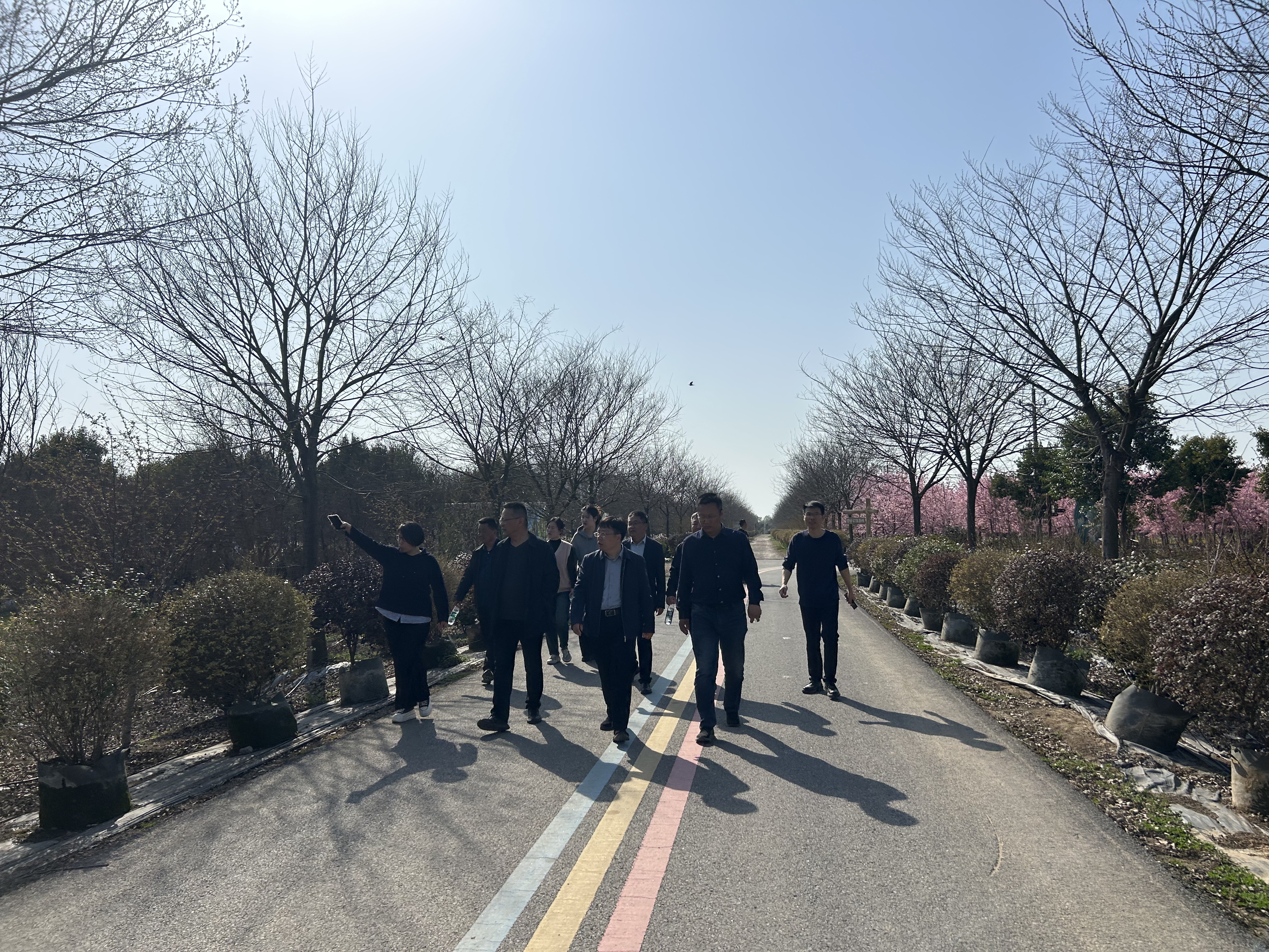 MG����(�й���)����ٷ���վ