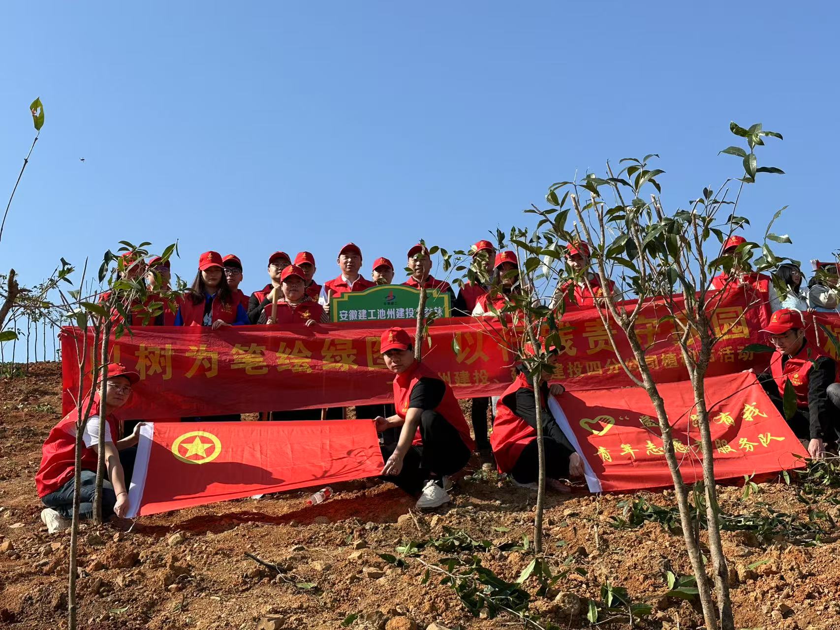 MG����(�й���)����ٷ���վ