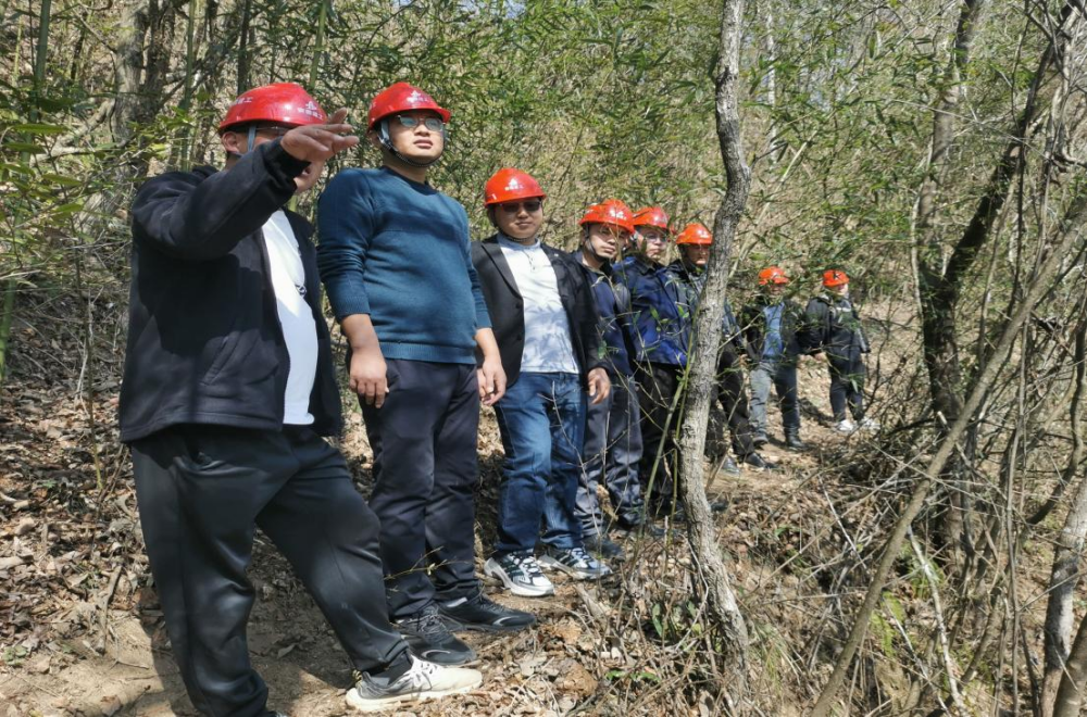 MG����(�й���)����ٷ���վ