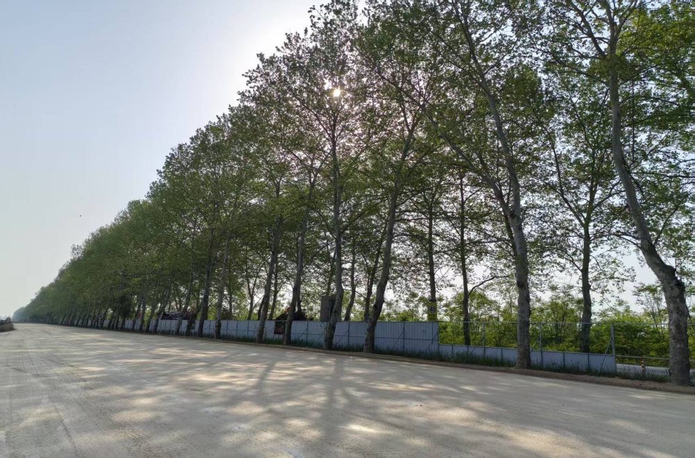 MG����(�й���)����ٷ���վ