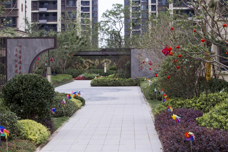 MG����(�й���)����ٷ���վ