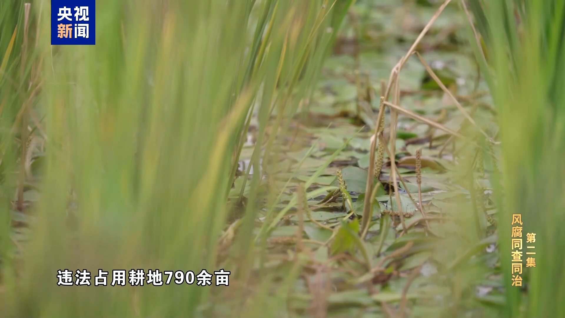 MGµç×Ó(ÖйúÓÎ)ÊÔÍæ¹Ù·½ÍøÕ¾