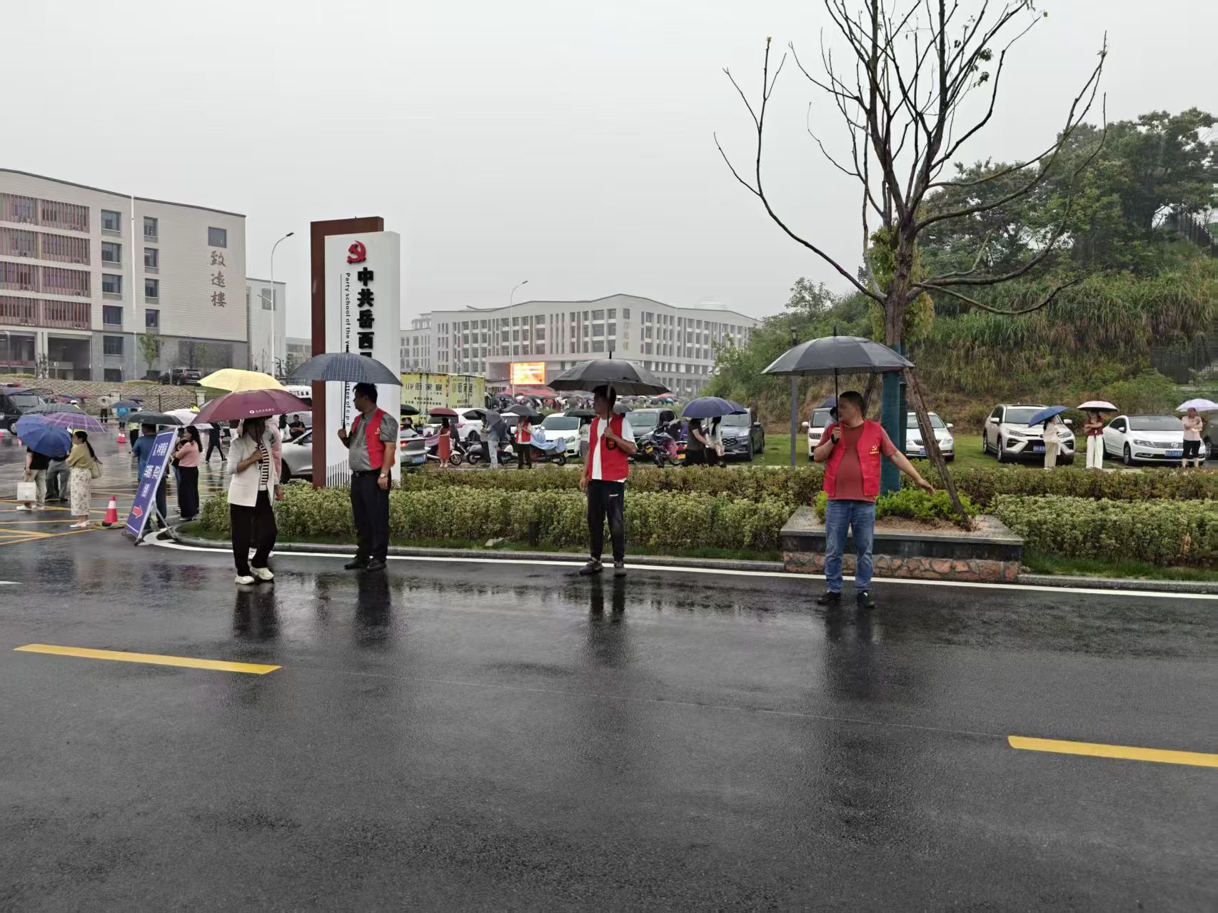 MG����(�й���)����ٷ���վ