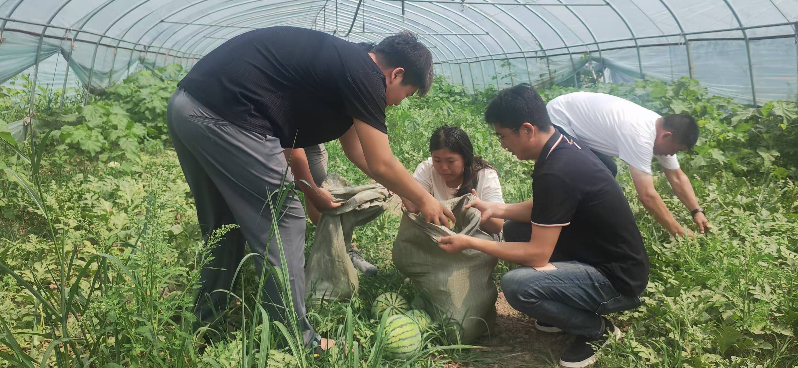 MG����(�й���)����ٷ���վ