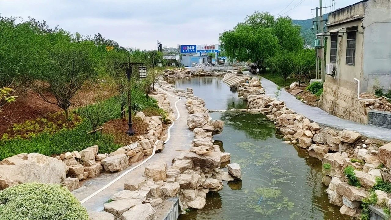 MG����(�й���)����ٷ���վ