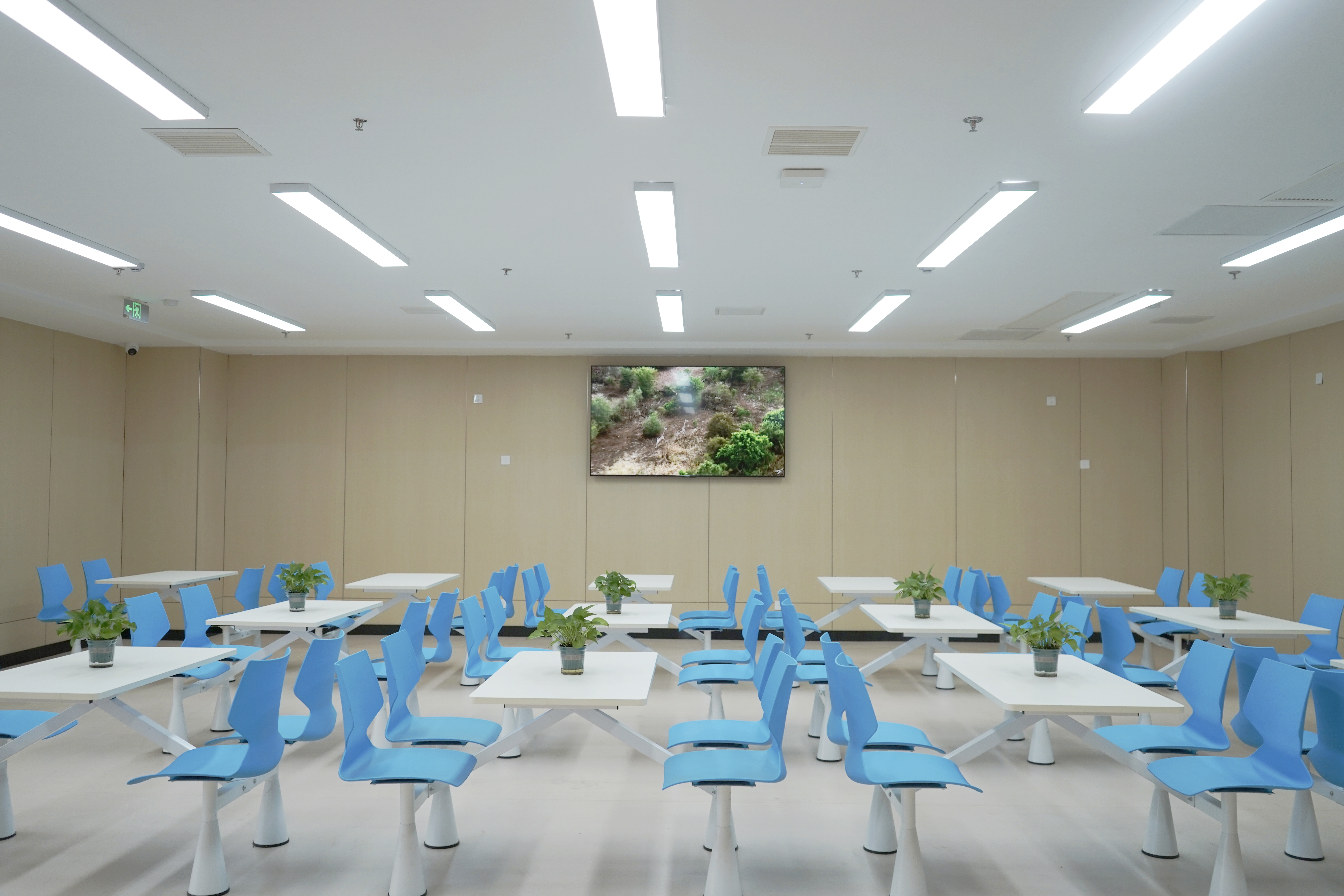 MG����(�й���)����ٷ���վ