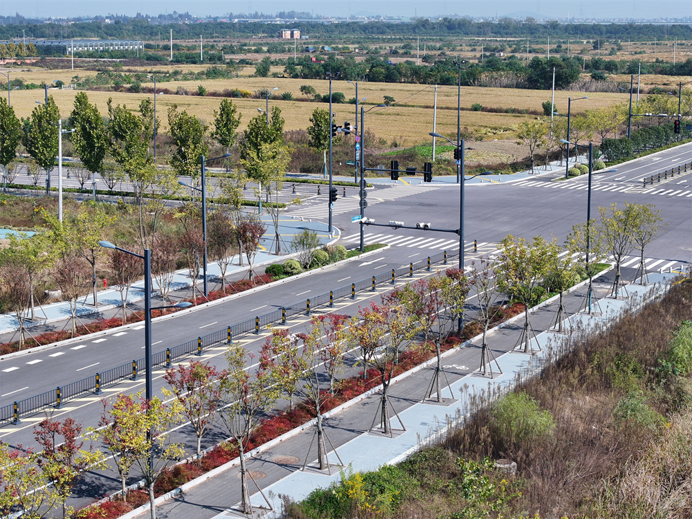 MG����(�й���)����ٷ���վ