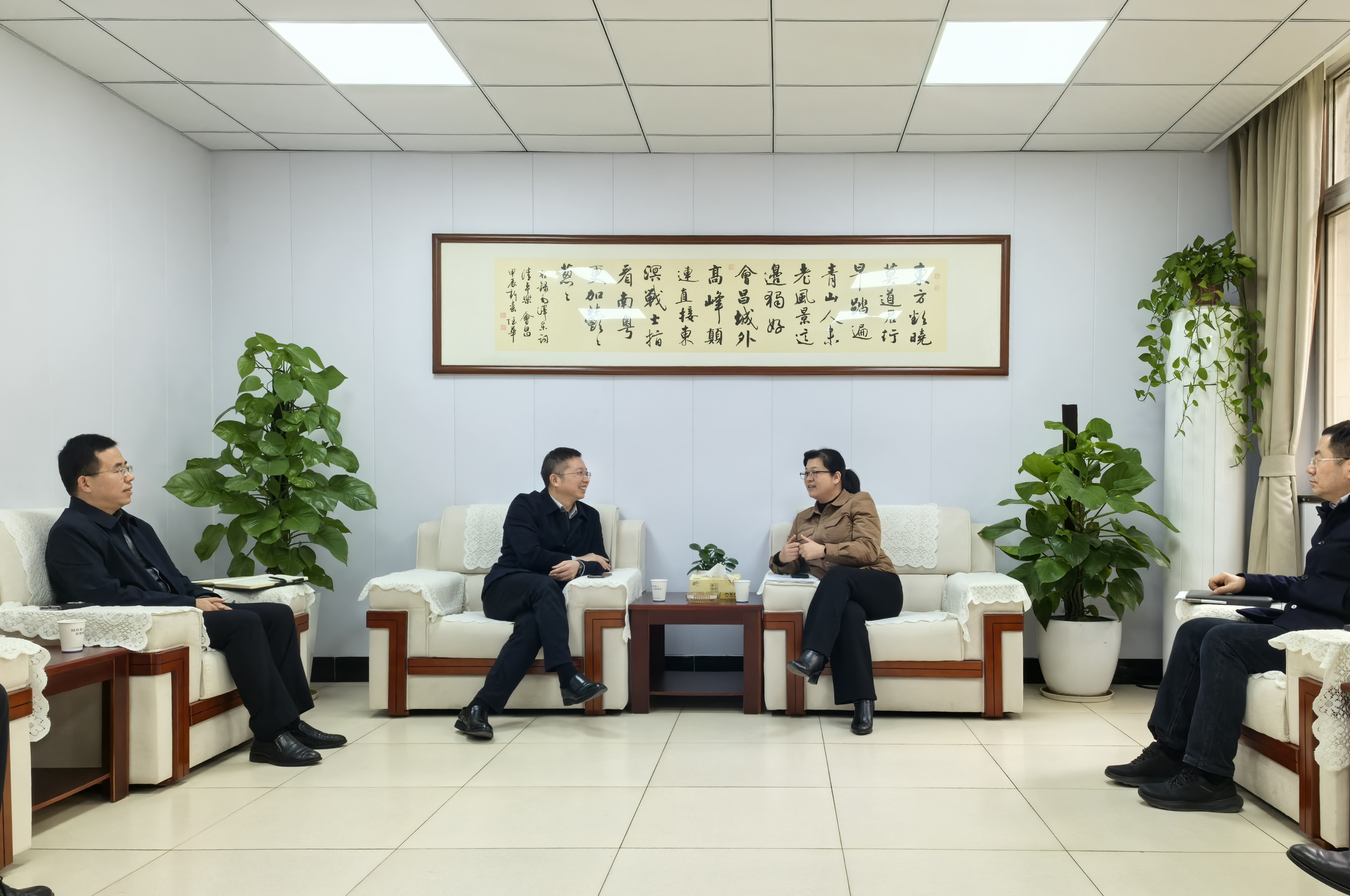 MG����(�й���)����ٷ���վ