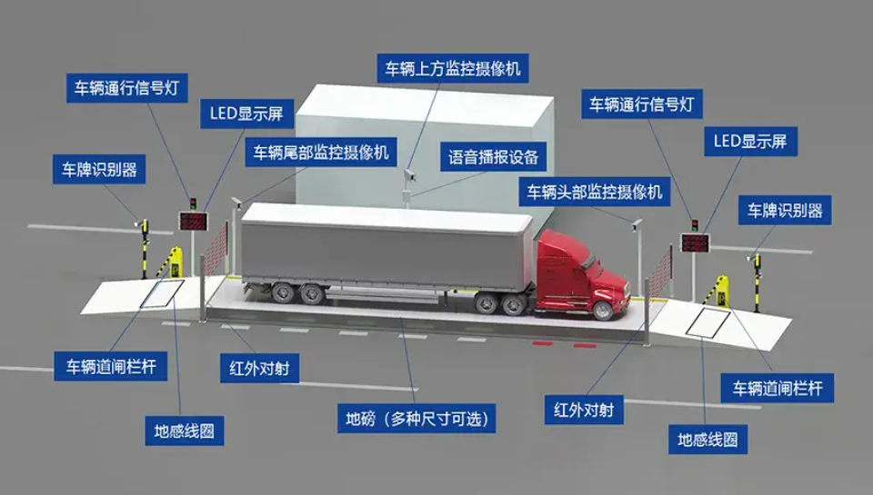 MG����(�й���)����ٷ���վ